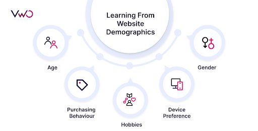 Website Demographics